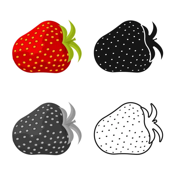 Objeto isolado de morango e símbolo de fruto. Conjunto de morango e berry stock vetor ilustração . — Vetor de Stock
