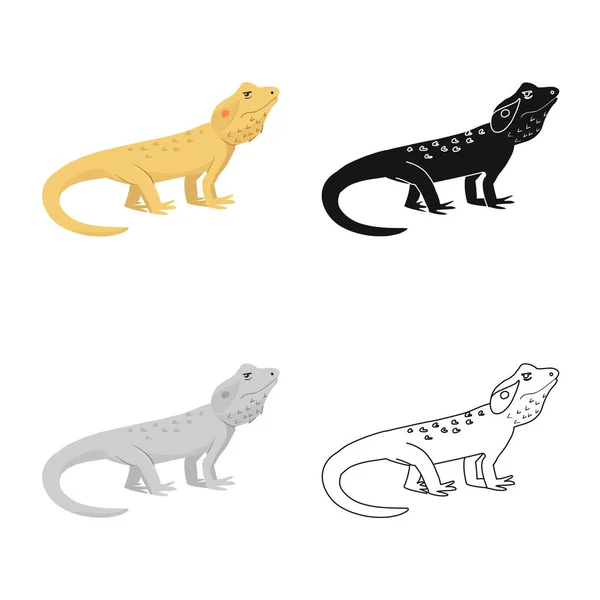 Ilustración vectorial de lagarto y símbolo de agama. Colección de lagarto y criatura icono vectorial para stock . — Vector de stock