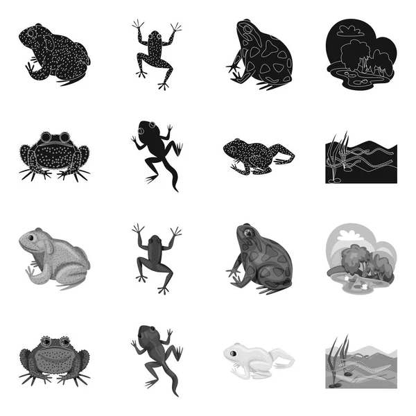 Isolerat föremål av vilda djur och mosse symbol. Insamling av vilda djur och reptiler stock vektor illustration. — Stock vektor