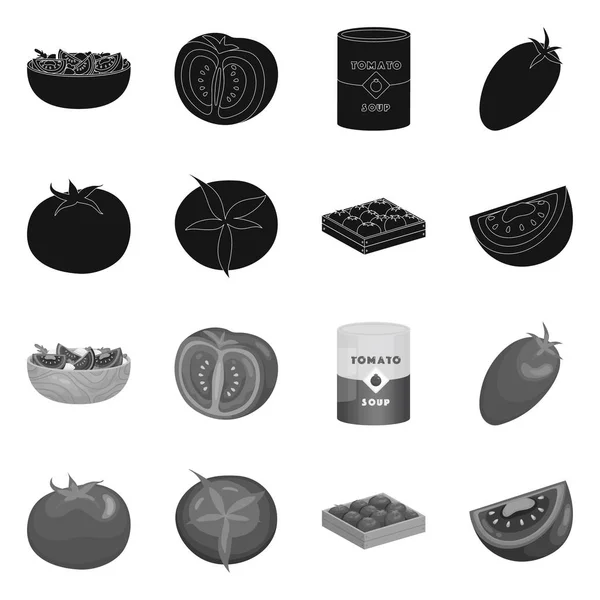 Векторна ілюстрація овочевого і смачного символу. Збірка рослинних і природних векторних значків для запасів . — стоковий вектор