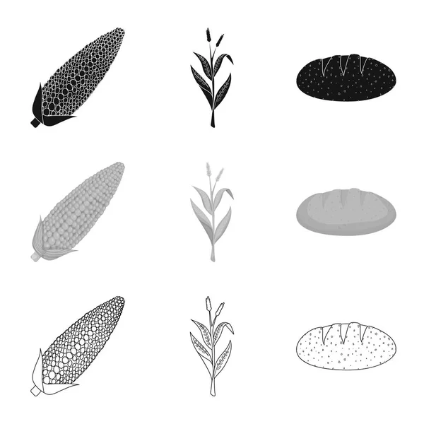 Ilustração vetorial do campo de milho e símbolo vegetal. Conjunto de campo de milho e ícone vetorial vegetariano para estoque . —  Vetores de Stock