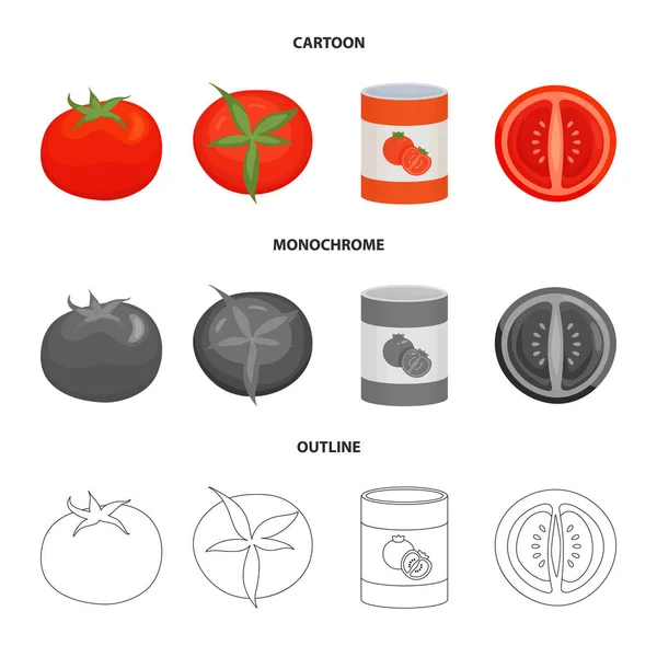 Vector illustratie van plantaardige en heerlijke teken. Set van plantaardige en natuurlijke voorraad symbool voor web. — Stockvector