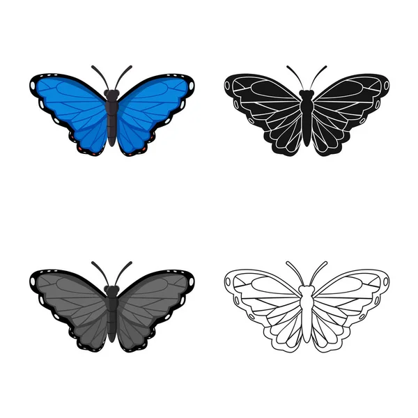 Objet isolé de signe papillon et créature. Collection de papillons et d'animaux sauvages symbole de stock pour le web . — Image vectorielle