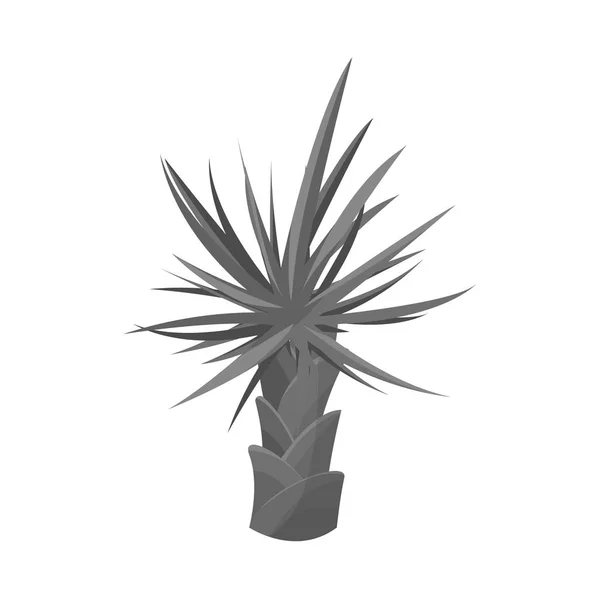 Vector ontwerp van Palm en groeiend icoon. Set van Palm en banaan Stock vector illustratie. — Stockvector