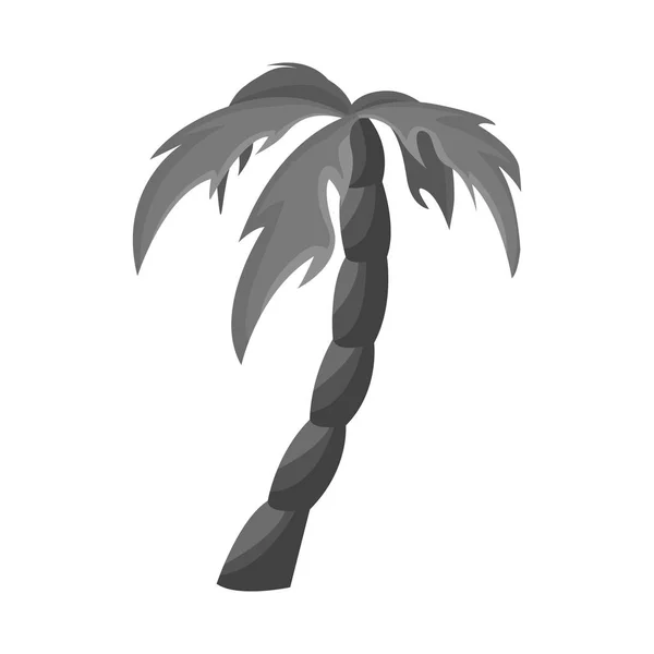 Oggetto isolato di palma e icona in legno. Raccolta di palma e illustrazione vettoriale stock alto . — Vettoriale Stock