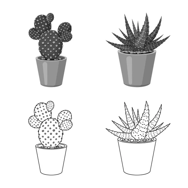 Projekt wektor ikona Kaktus i doniczkę. Kolekcja kaktusów i kaktusy Stockowa ilustracja wektorowa. — Wektor stockowy