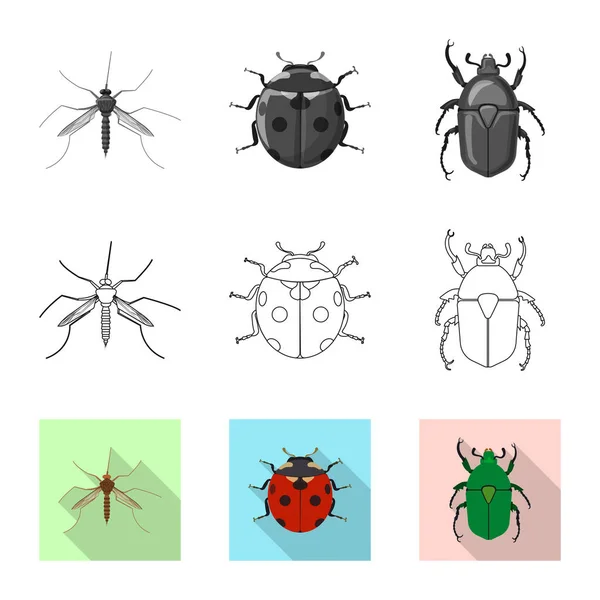 Objeto isolado de inseto e sinal de mosca. Coleção de ilustração vetorial de estoque de insetos e elementos . — Vetor de Stock