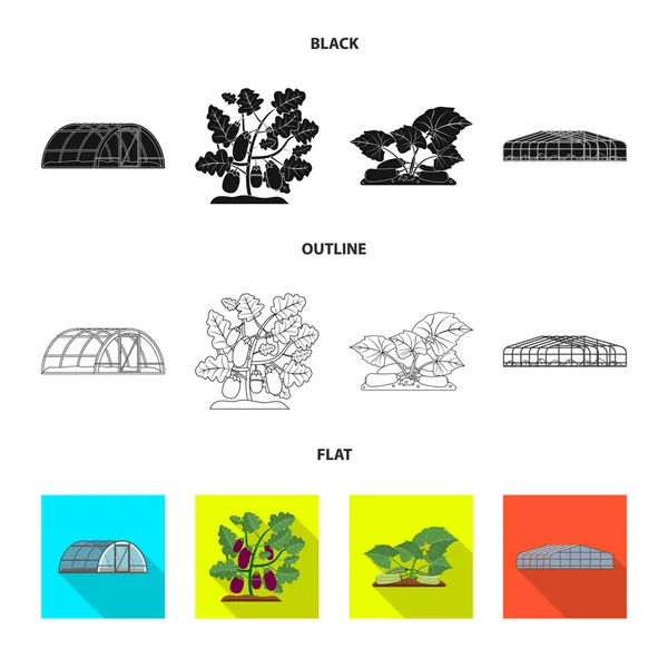 Isoliertes Objekt von Gewächshaus und Pflanzenschild. Gewächshaus- und Gartenvektorsymbole für Aktien. — Stockvektor