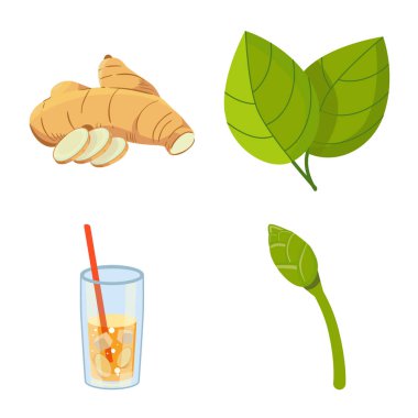 Organik ve gıda işareti izole nesne. Stok için organik ve doğal vektör simgesi kümesi.