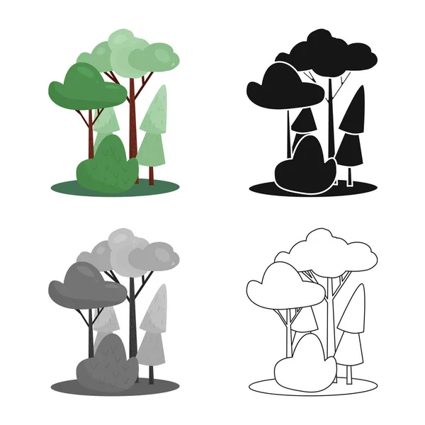 Design vettoriale della foresta e segno verde. Raccolta di illustrazioni vettoriali di boschi e pinete . — Vettoriale Stock