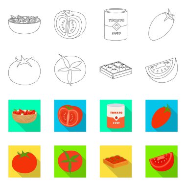 Sebze ve lezzetli logo vektör tasarımı. Web için sebze ve doğal stok sembolü koleksiyonu.