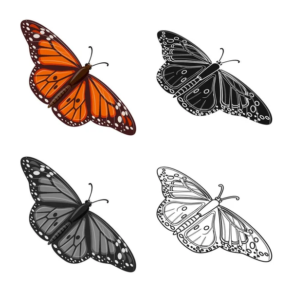 Vektorillustration von Schmetterling und Frühlingssymbol. Sammlung von Schmetterling und dekorativem Aktiensymbol für das Web. — Stockvektor