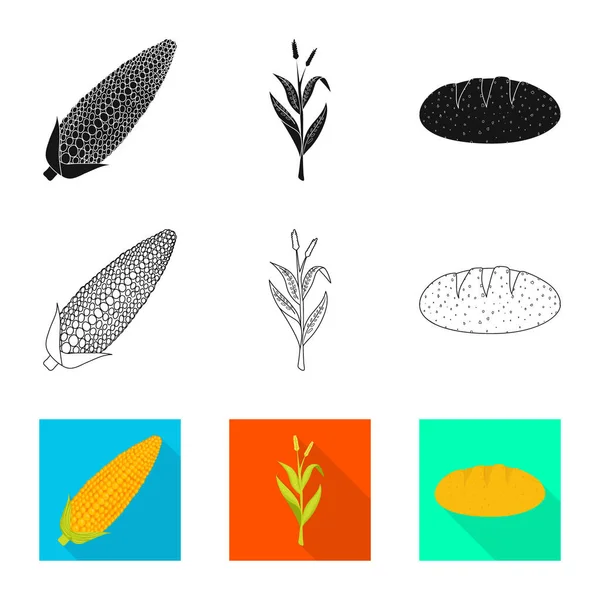 玉米地和蔬菜图标的矢量设计。收集玉米田和素食股票符号的网络. — 图库矢量图片