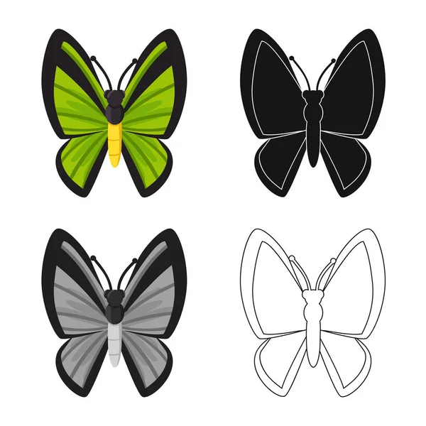 Diseño vectorial de mariposa y hermoso logotipo. Colección de mariposa y vector multicolor icono para stock . — Archivo Imágenes Vectoriales