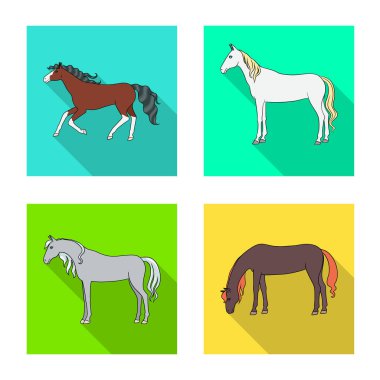 Cins ve binicilik sembolü izole nesne. Cins ve mare stok vektör illüstrasyon seti.