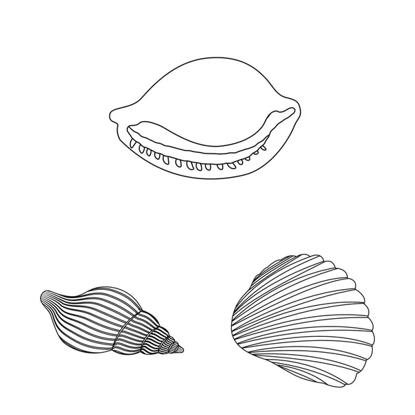 Ilustração vetorial do logotipo exótico e de frutos do mar. Coleta de ilustração vetorial de estoque exótico e aquático . — Vetor de Stock