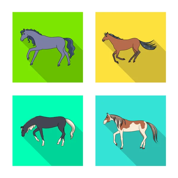 Ilustração vetorial da raça e símbolo equestre. Conjunto de raça e égua ilustração vetorial . —  Vetores de Stock