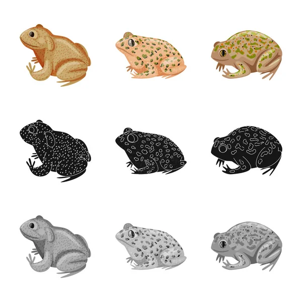 Vektor illustration av vilda djur och myrtecken. Insamling av vilda djur och reptil vektor ikonen för lager. — Stock vektor