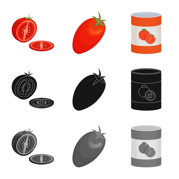 Ізольований об'єкт овочевого і смачного символу. Набір символів овочів і природного запасу для Інтернету . — стоковий вектор