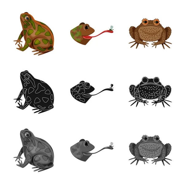 Ilustración vectorial de vida silvestre y signo de pantano. Conjunto de animales silvestres y reptiles símbolo de stock para la web. — Archivo Imágenes Vectoriales