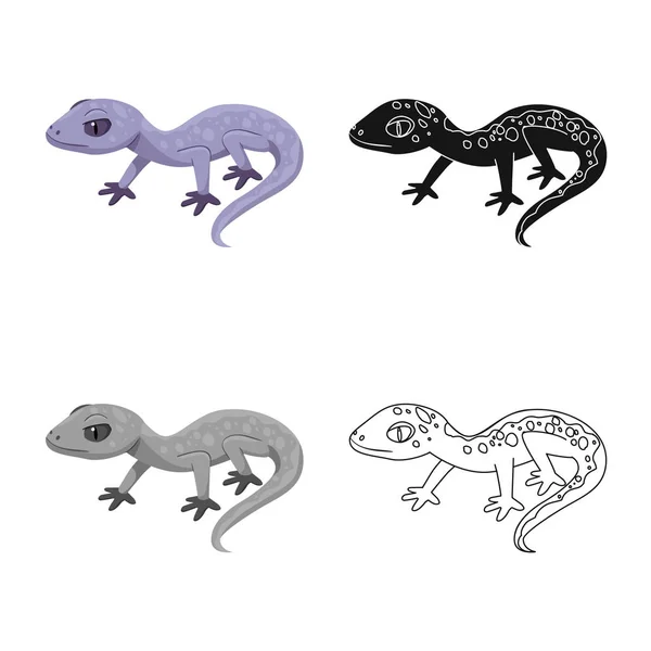 Isolerat objekt av ödla och grå tecken. Uppsättning av Lizard och Dragon Stock Vector illustration. — Stock vektor
