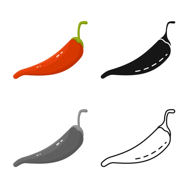 Vektordesign von Pfeffer und Chili-Symbol. Set von Paprika und Paprika Vektor Illustration. — Stockvektor