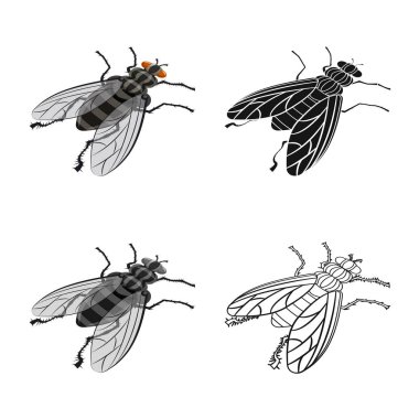 Housefly ve haşere sembolü izole nesne. Housefly ve hata stok vektör illüstrasyon seti.