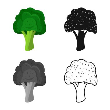 Brokoli ve sebze sembolü vektör illüstrasyon. Web için brokoli ve yeşil stok sembolü koleksiyonu.