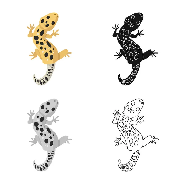 Objet isolé du logo lézard et gecko. Collection d'illustrations vectorielles de lézards et de créatures . — Image vectorielle