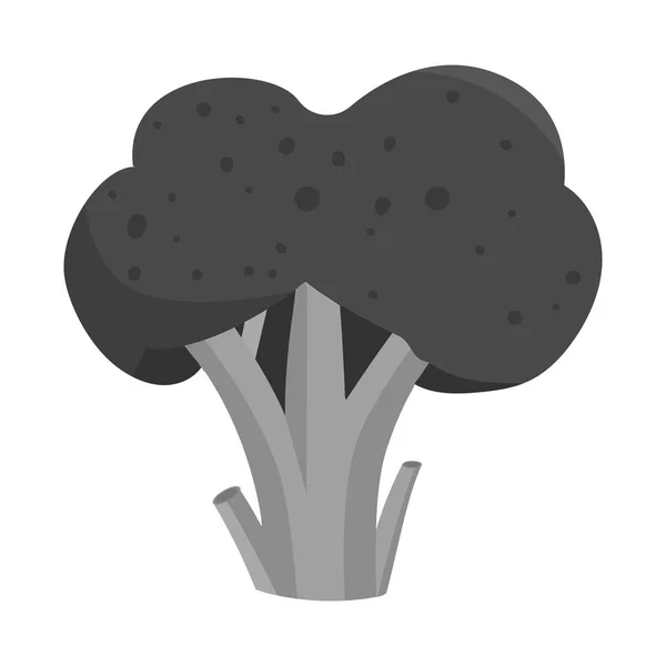 Ilustración vectorial del símbolo de brócoli y verduras. Colección de brócoli y vector de alimentos icono para stock . — Vector de stock