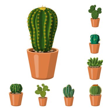 Kaktüs ve pot işareti yalıtılmış nesne. Kaktüs ve kaktüsler hisse senedi vektör çizim koleksiyonu.
