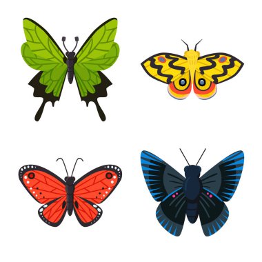 Doğanın izole nesnesi ve yaz logosu. Doğa ve hayvan stok vektör illüstrasyon seti.