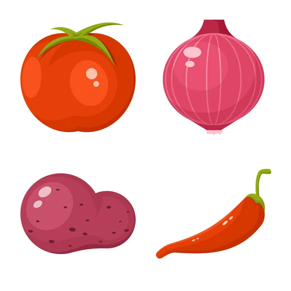 Isolated object of vegetable and food symbol. Set of vegetable and ripe stock symbol for web. — Stock Vector