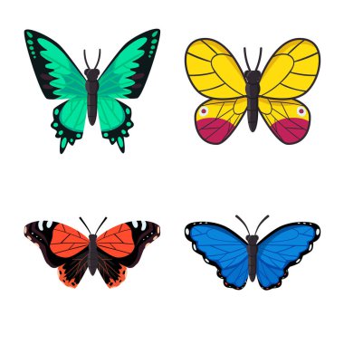 Doğa ve yaz simgesivektör illüstrasyon. Stok için doğa ve hayvan vektör simgesi koleksiyonu.