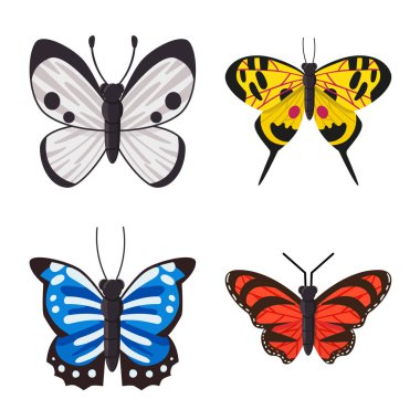 Doğanın vektör tasarımı ve yaz simgesi. Stok için doğa ve hayvan vektör simgesi koleksiyonu.