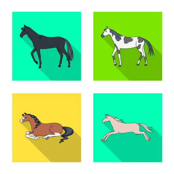 Objeto isolado de raça e logotipo equestre. Conjunto de raça e égua símbolo de estoque para web . —  Vetores de Stock