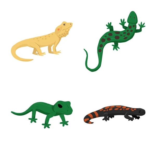 Illustration vectorielle de l'icône animale et reptile. Collection d'animaux et de la nature stock symbole pour la toile . — Image vectorielle