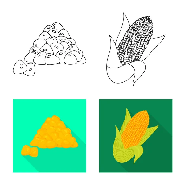 玉米地和蔬菜图标的向量例证。一套玉米地和素食载体图标的股票. — 图库矢量图片