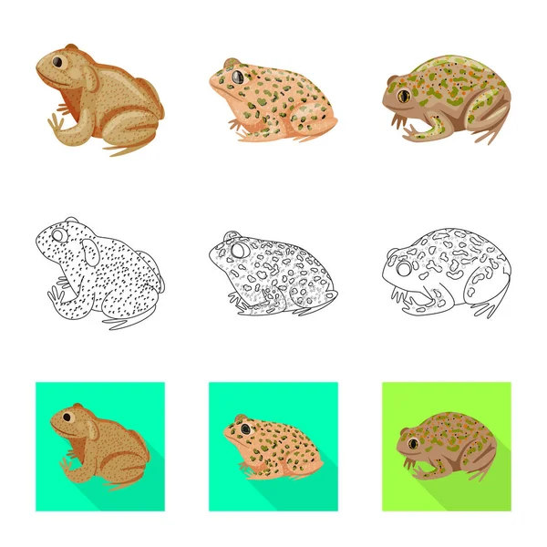 야생 동물 과 습지의 상징을 보여 주는 벡터 그림. 웹을 위한 야생 동물 과 파충류의 주식 상징. — 스톡 벡터