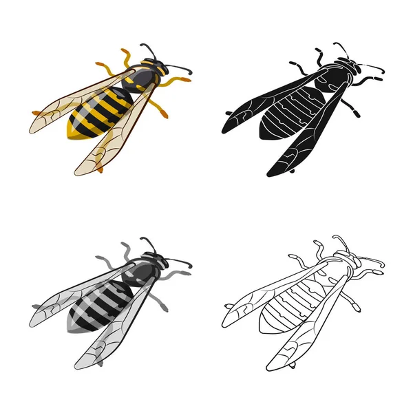 Oggetto isolato di ape e miele simbolo. Raccolta di icone vettoriali per api e natura . — Vettoriale Stock