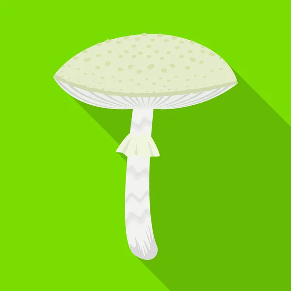 Vektor design av Amanita och phalloides Sign. Uppsättning av Amanita och Cap vektor ikonen för lager. — Stock vektor