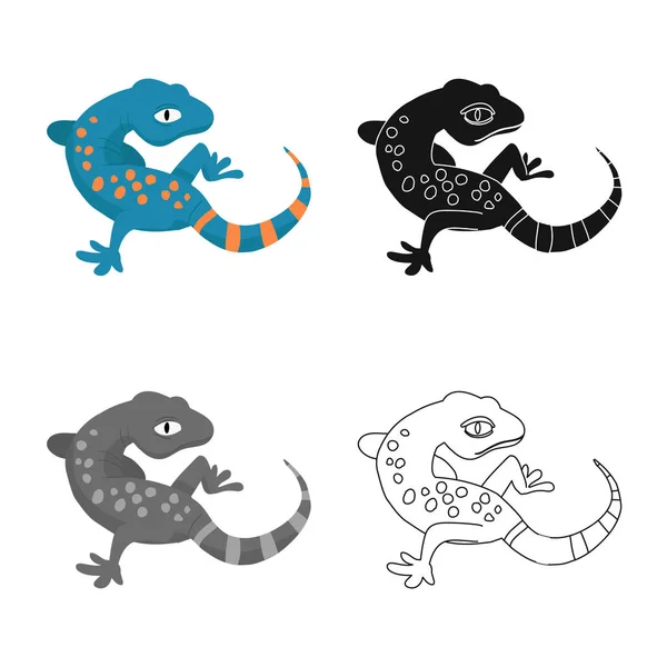 Illustration vectorielle du symbole gecko et lézard. Collection de gecko et illustration vectorielle de stock mignon . — Image vectorielle