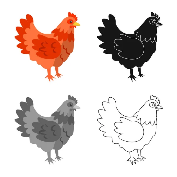 母鸡和动物标志的矢量设计。一套母鸡和肉矢量图标的股票. — 图库矢量图片