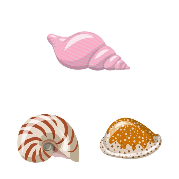 Vektor illustration av snäckor och mollusk symbol. Insamling av snäckor och skaldjur vektor ikon för lager. — Stock vektor