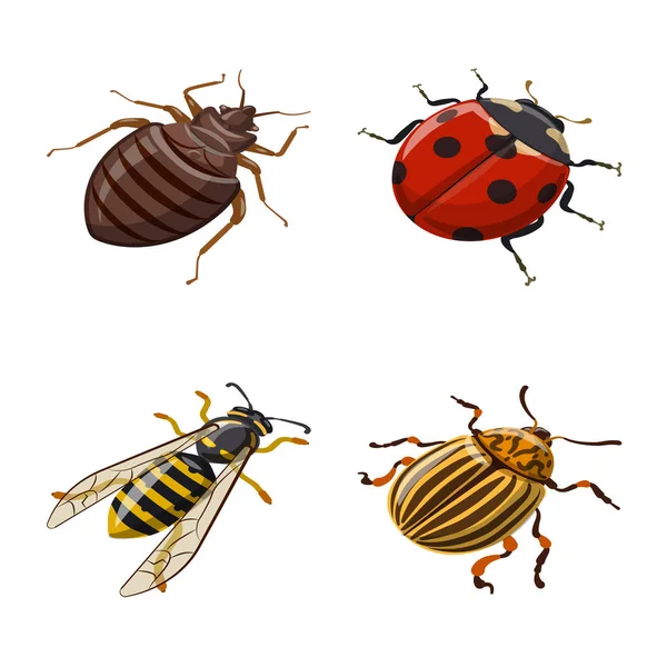 Objeto aislado de insecto y signo de mosca. Conjunto de insectos y entomología símbolo de stock para web . — Archivo Imágenes Vectoriales