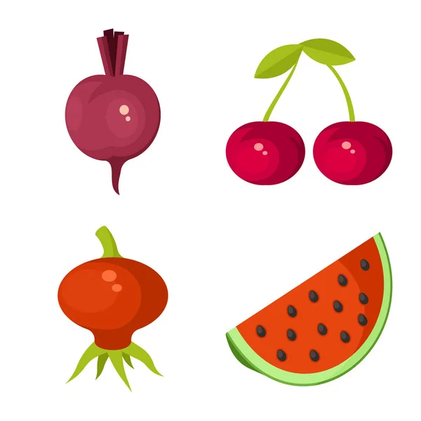 Ilustración vectorial del logotipo vegetal y alimentario. Conjunto de icono de vector vegetal y maduro para stock . — Archivo Imágenes Vectoriales