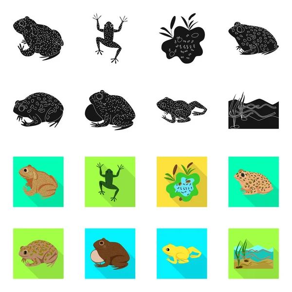 Vector illustratie van wildlife en moeras symbool. Set van wildlife en reptiel voorraad vector illustratie. — Stockvector