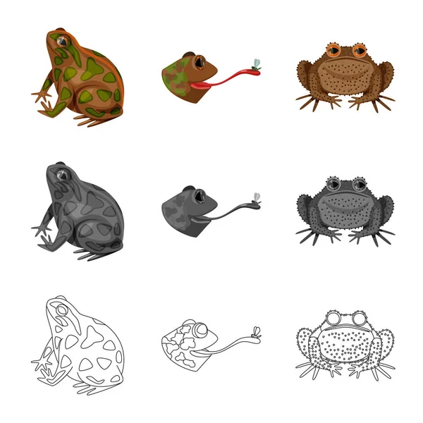 Vektor design av vilda djur och mosse symbol. Uppsättning av vilda djur och reptiler Stock symbol för webb. — Stock vektor