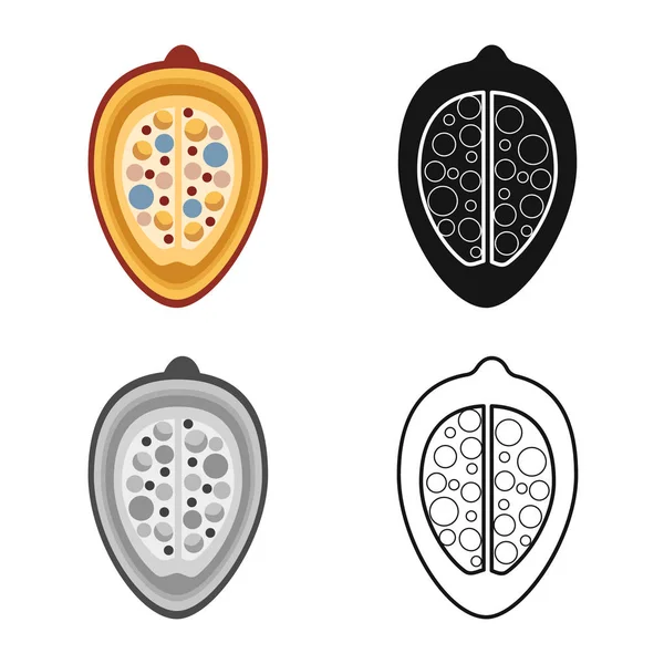 Diseño vectorial de cacahuete y símbolo de semilla. Colección de cacahuete y vitaminas símbolo de stock para la web . — Archivo Imágenes Vectoriales
