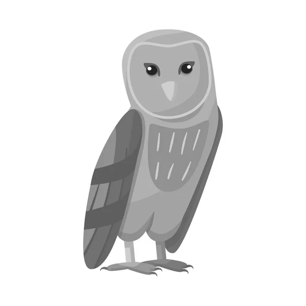 Conception vectorielle du logo oiseau et chouette. Collection d'illustration vectorielle de stock d'oiseaux et de nature . — Image vectorielle